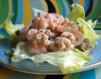 Low-Fat Shrimp Pasta Salad Recipe - Food.com image