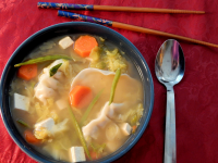 Veggie and Wonton Soup Recipe | Allrecipes image