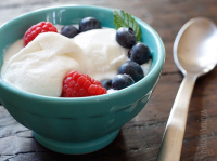 Low Fat Vanilla Bean Frozen Yogurt - Skinnytaste image