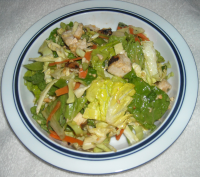 Bobby Flay's Chinese Chicken Salad W/ Red Chile ... - Food.com image