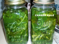 KALE IN A CAN RECIPES