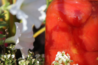 Canned Fresh Tomatoes Recipe - Food.com image