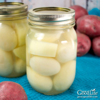 Canning Potatoes: How to Pressure Can Potatoes for Food Storage - Grow a Good Life image