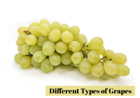 13 Different Types of Grapes with Images - Asian Recipe image