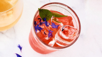 Aperol Gin Punch Recipe | Martha Stewart image