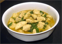 Quick and Easy Chicken Curry for 2 Recipe - Food.com image