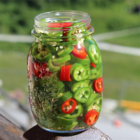PICKLING HABANERO PEPPERS RECIPES