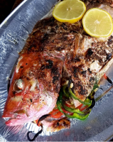 RECIPE FOR GRILLED SNAPPER RECIPES