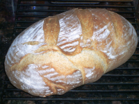 Light Wheat, Vienna Style Bread Recipe - Food.com image