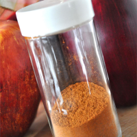 SPICES FOR APPLE PIE RECIPES