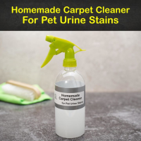 HOW TO GET A POOP STAIN OUT OF THE CARPET RECIPES