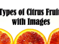 12 Types of Citrus Fruits with Images - Asian Recipe image