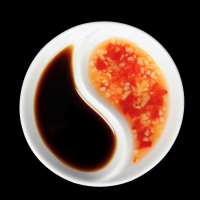 SPECIAL SOY SAUCE RECIPES