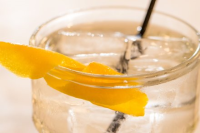 Martini on the Rocks Recipe - NYT Cooking image