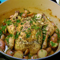 Chicken with 40 Cloves of Garlic Recipe | Allrecipes image
