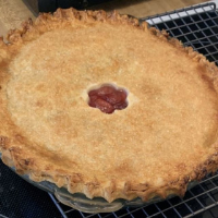 Oregon Red Tart Cherry Pie - 500,000+ Recipes, Meal ... image