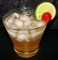 SOUTHERN COMFORT AND GINGER ALE RECIPES