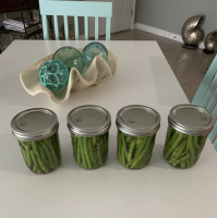 Cold-Pickled Green Beans Recipe | Allrecipes image