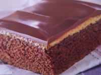 Hershey's Dandy Cake | Just A Pinch Recipes image