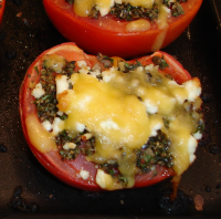 GRILLED TOMATOES RECIPES