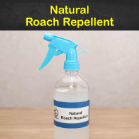 15 Simple But Effective Roach Repellent Recipes image