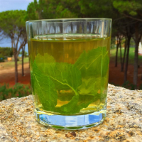 Citrus-Honey Green Tea Recipe | Allrecipes image