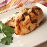 Beer Lime Grilled Chicken Recipe | Allrecipes image