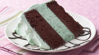 Mint-Chocolate Ice Cream Cake Recipe - BettyCrocker.com image