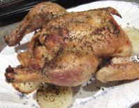 Roast Chicken With Italian Seasonings Recipe - Food.com image