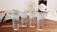 Best Gin & Tonic Shot Recipe - How to Make Gin & Tonic Shots image