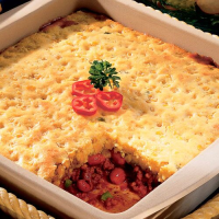 PAMPERED CHEF CASSEROLE CARRIER RECIPES