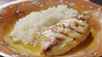 LEMON MARINATED GRILLED CHICKEN RECIPES