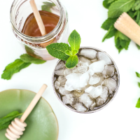 BEST WHISKEY FOR MINT JULEP RECIPES