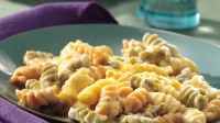 MACARONI AND CHEESE WITH ROTINI NOODLES RECIPES