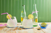 HOW TO MAKE MINERAL WATER RECIPES
