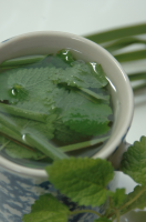 Luscious Lemongrass Tea Recipe - Food.com image