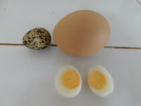 Hard Boiled Quail Eggs | Just A Pinch Recipes image