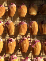 Lychee Madeleines with a Hibiscus Tea Glaze & Dried Ros… image