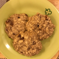 OATMEAL WHEAT GERM CHOCOLATE CHIP COOKIES RECIPES