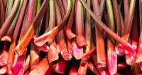 Rhubarb Rosemary Syrup Recipe for Cocktails - Thrillist image