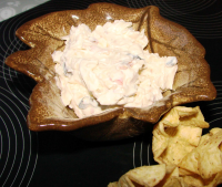 Cheddar Dip Recipe - Food.com image