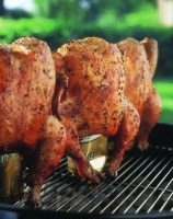 RECIPES FOR BEER CAN CHICKEN ON THE GRILL RECIPES