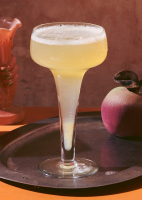 SPARKLING WINE MIXED DRINKS RECIPES
