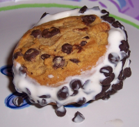 Homemade Ice Cream Sandwiches Recipe - Food.com image