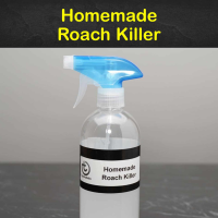 Killing Cockroaches – 11 Amazing Homemade Roach Killer Tips and Recipes image