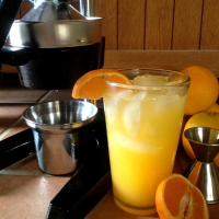 Orange Crush! Fresh Squeezed Orange and Vodka Cocktail ... image