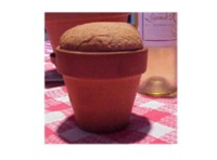 Tips for baking in clay flower pots | Just A Pinch Recipes image