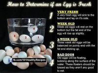 HOW TO TEST EGGS IN WATER RECIPES