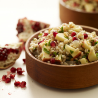 Pearled Barley Salad with Apples, Pomegranate Seeds and ... image