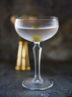 Gin Martini | Drinks Recipes | Drinks Tube image